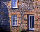 Beach Flea - St Ives - Carbis Bay