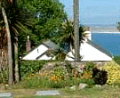 Summer Love - St Ives - Carbis Bay