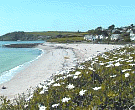 Falmouth Beach