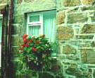 Friends - St. Ives