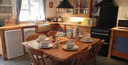 Gem�tliches Cottage - K�che