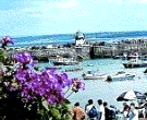 Bay Watch - St Ives
