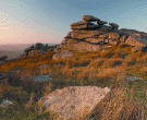 Moorlandschaft