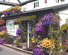 The Stables - bei Salcombe