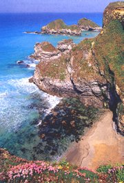 K�ste bei Newquay - Cornwall